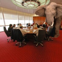 The Elephant in the Room | A Story of Synchronicity