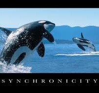 Expect synchronicity